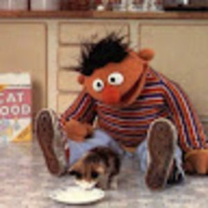 Meet your Posher, Irene